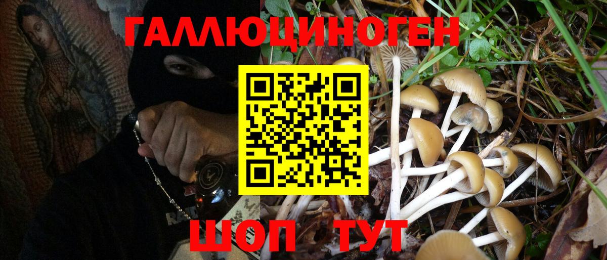 Псилоцибиновые грибы MAGIC MUSHROOMS Йошкар-Ола