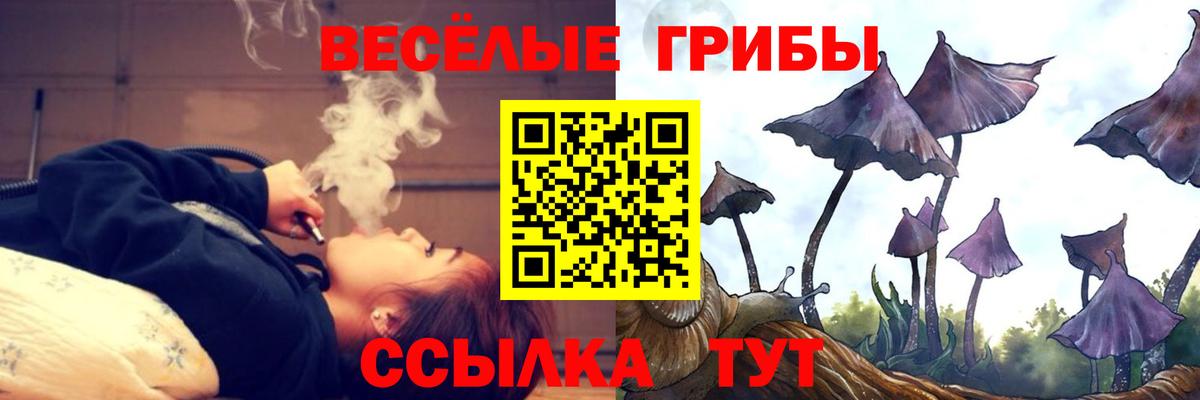 цена   Вход с VPN  Йошкар-Ола  Галлюциногенные грибы мухоморы 